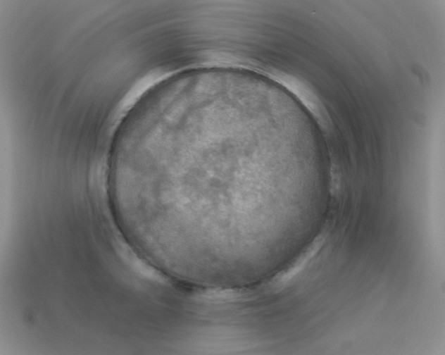 X0000113961094200910091624