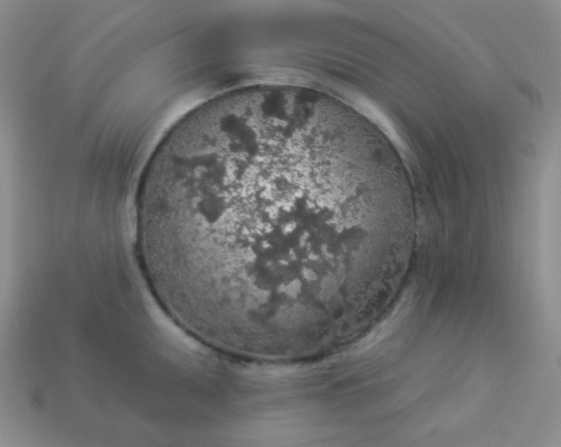 X0000113961095200910091624