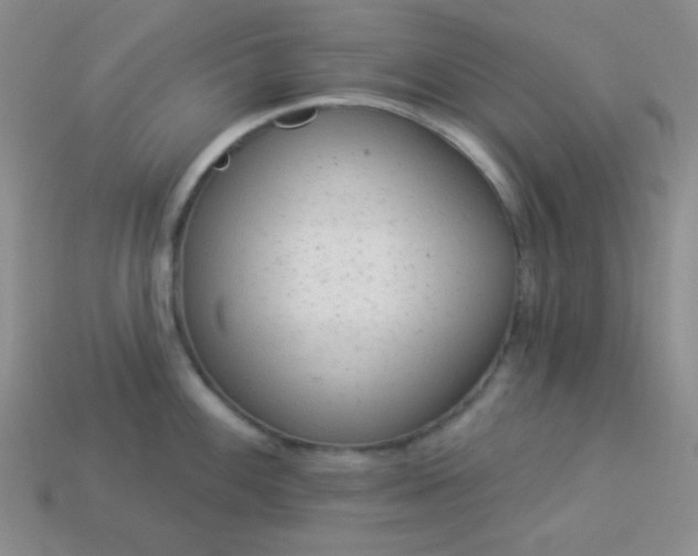 X0000113961100200910091624