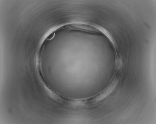 X0000113961101200910091624