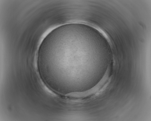 X0000113961102200910091624