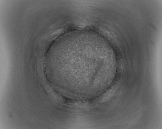 X0000113961105200910091623