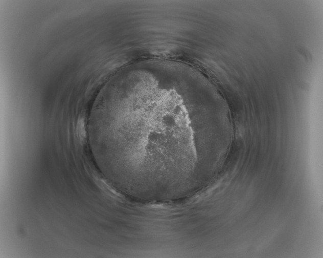 X0000113961106200910091623