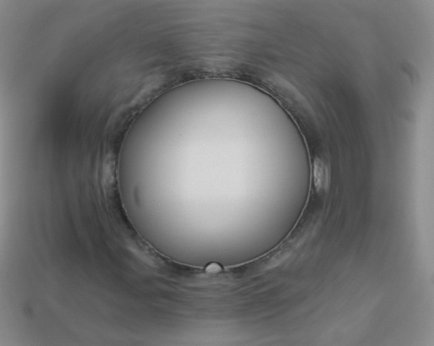 X0000113961107200910091623