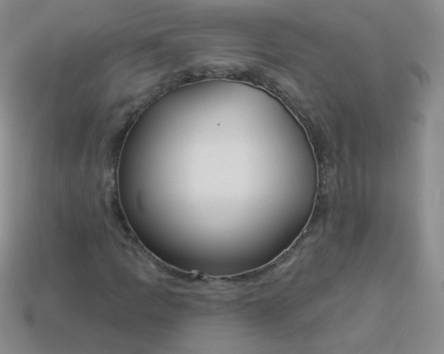 X0000113961109200910091623