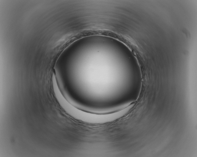 X0000113961110200910091623