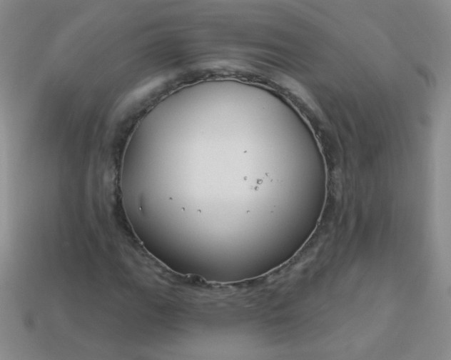 X0000113961111200910091623