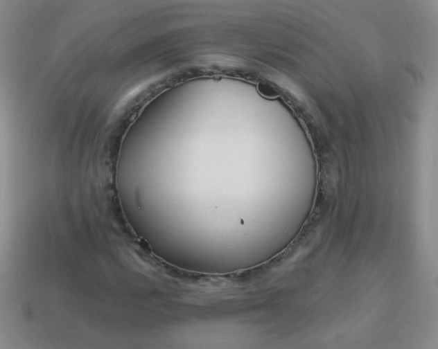 X0000113961112200910091623