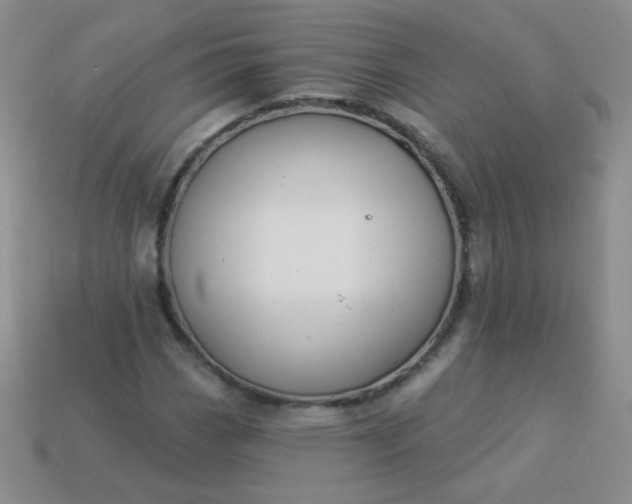 X0000113961113200910091623