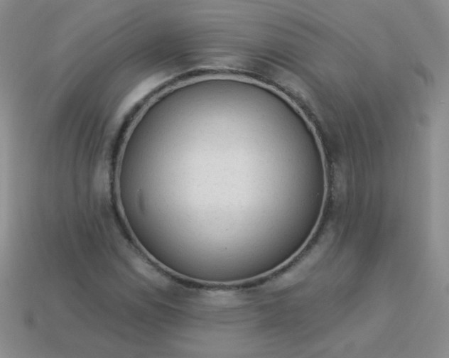 X0000113961114200910091623