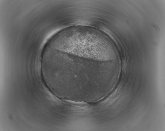 X0000113961115200910091623