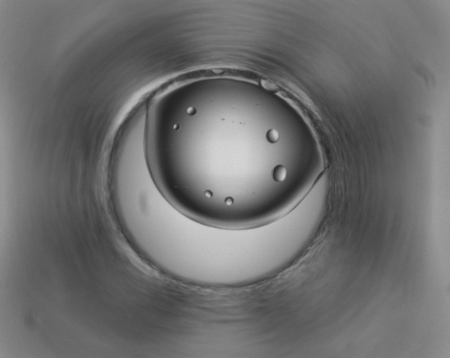 X0000113961116200910091623