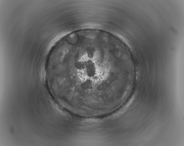 X0000113961117200910091623