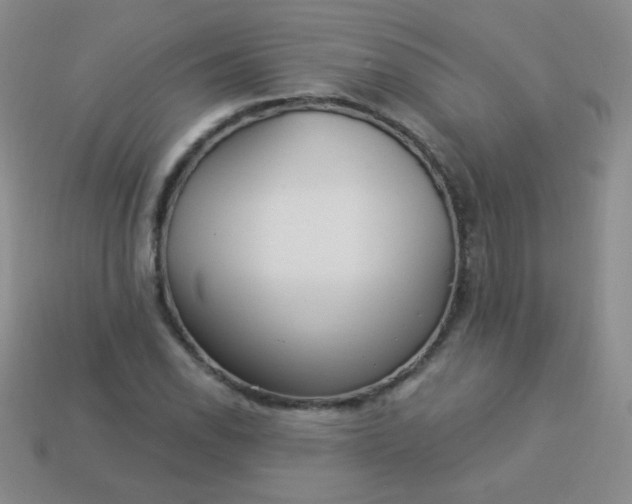 X0000113961118200910091623