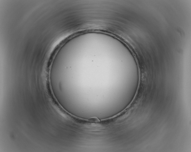 X0000113961119200910091623