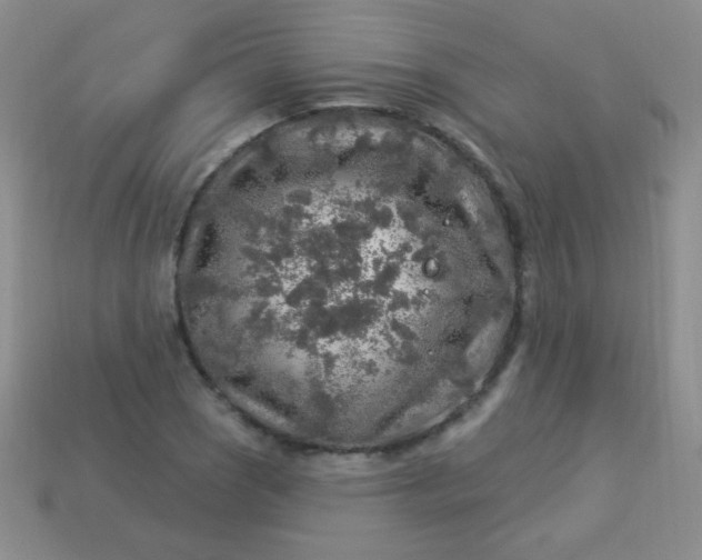 X0000113961121200910091623