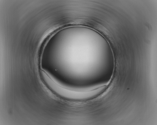 X0000113961122200910091623