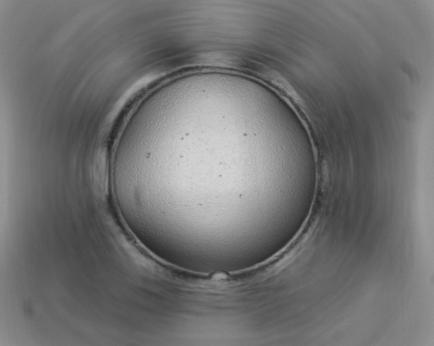 X0000113961123200910091623