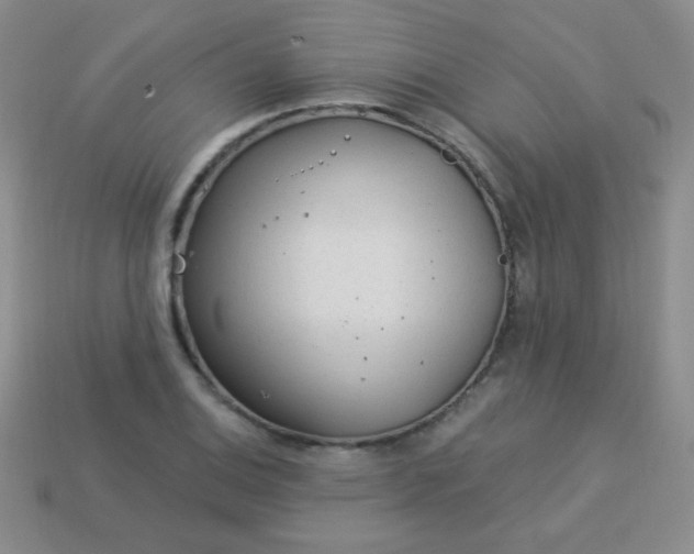 X0000113961124200910091623