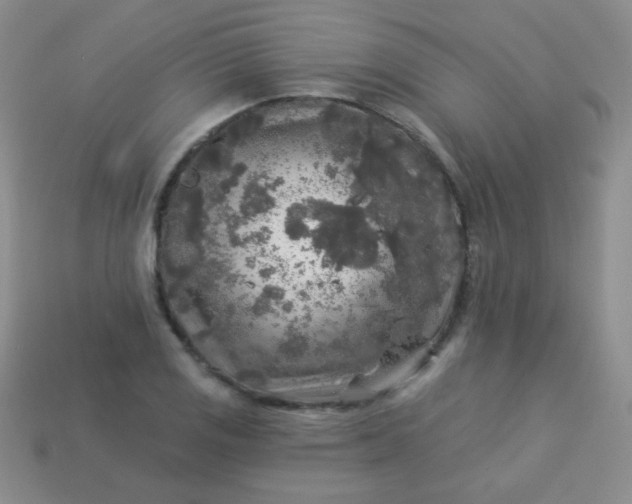 X0000113961125200910091623