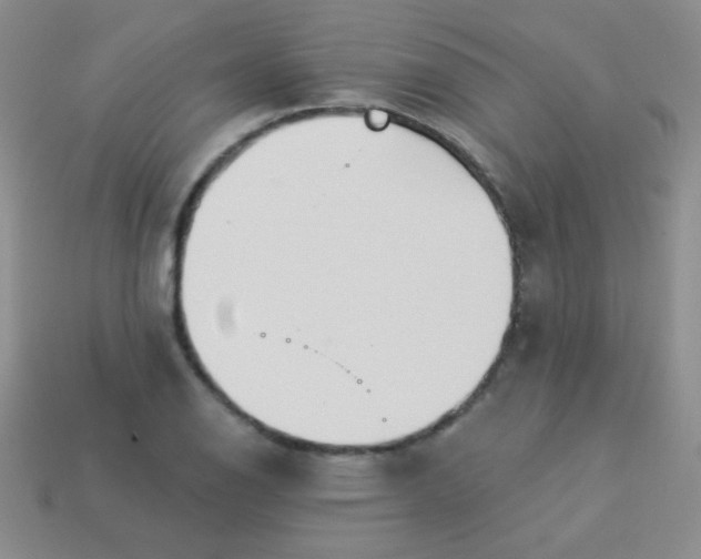 X0000113961126200910091623