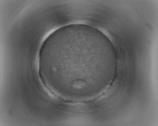 X0000113961127200910091623