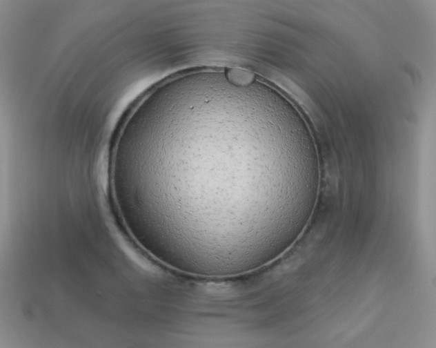 X0000113961128200910091623