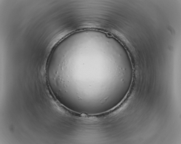 X0000113961129200910091623