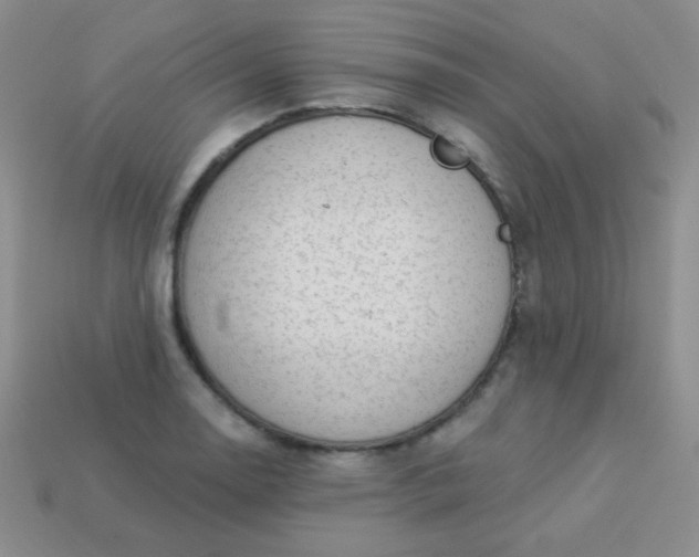 X0000113961130200910091623