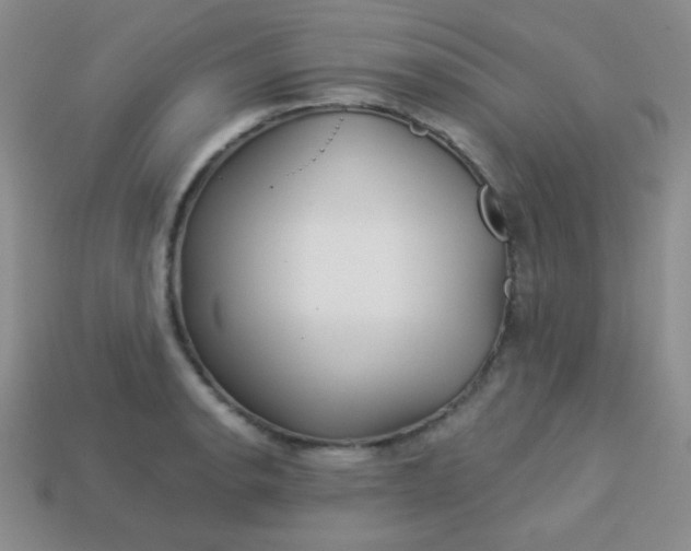 X0000113961134200910091624