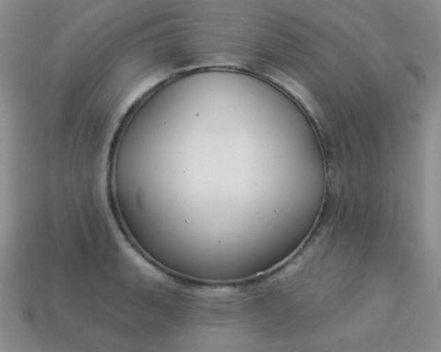 X0000113961135200910091624