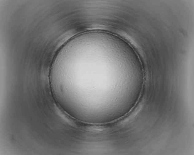 X0000113961137200910091624