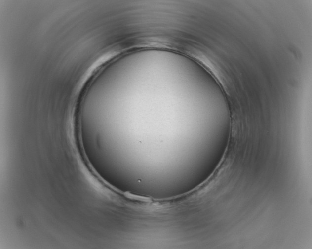 X0000113961139200910091624