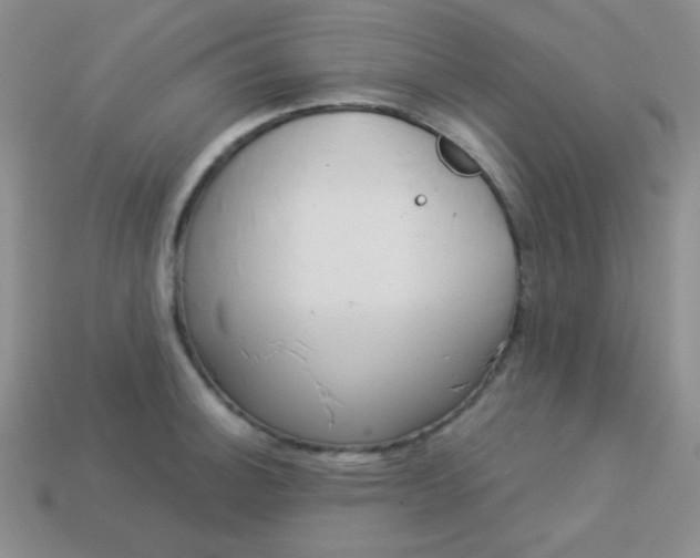 X0000113961140200910091624