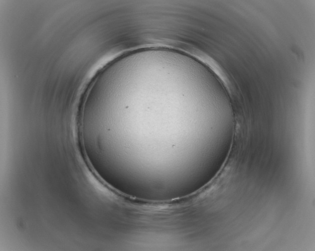 X0000113961143200910091624