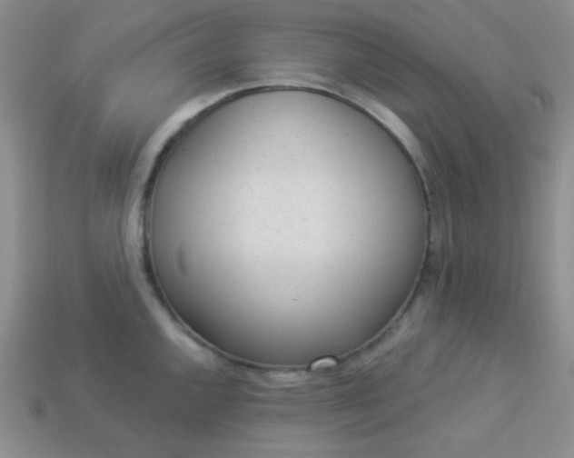 X0000113961144200910091624