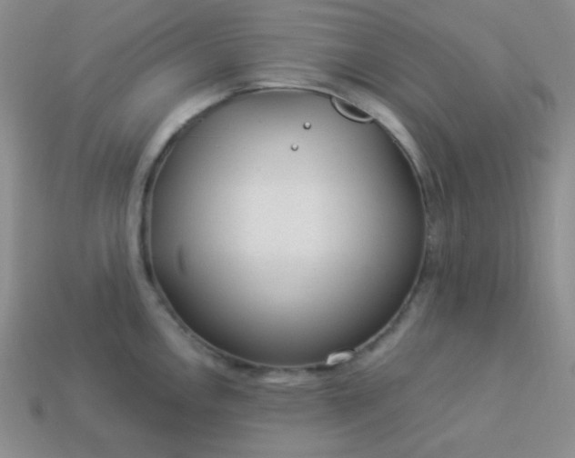 X0000113961146200910091624