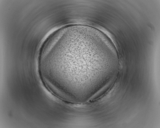 X0000113961147200910091624