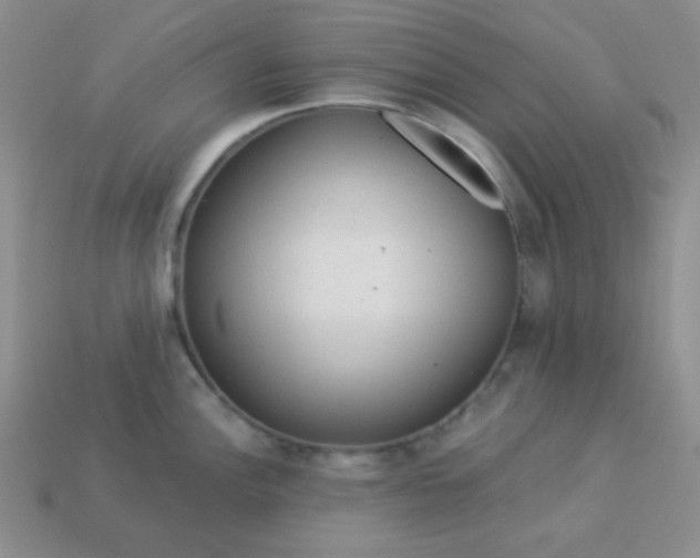 X0000113961148200910091624