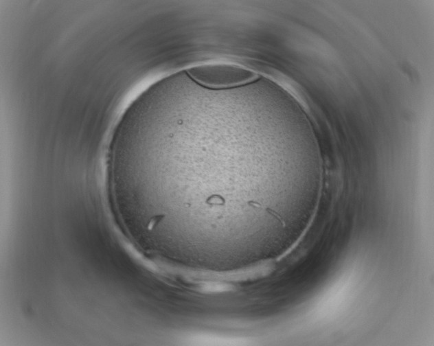 X0000113961151200910091624