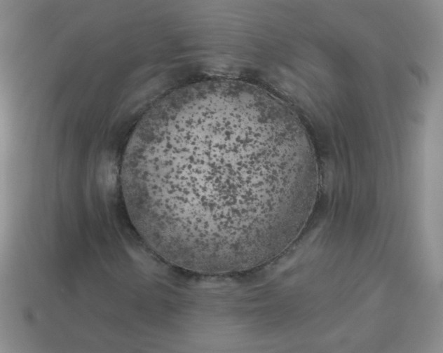 X0000113961154200910091623