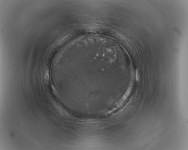 X0000113961155200910091623