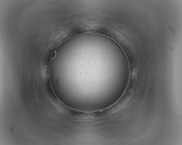 X0000113961156200910091623