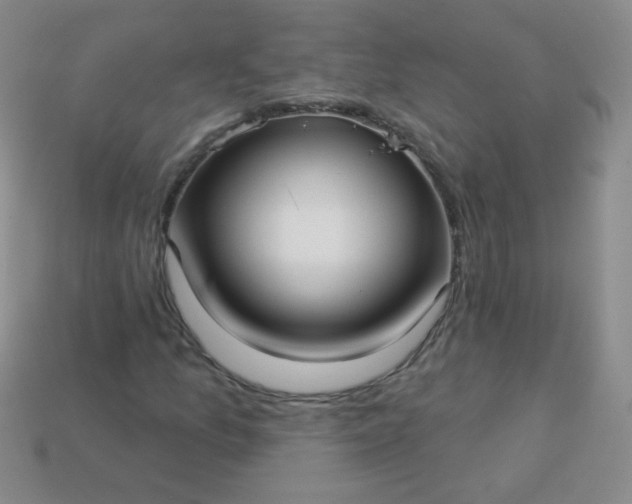 X0000113961157200910091623