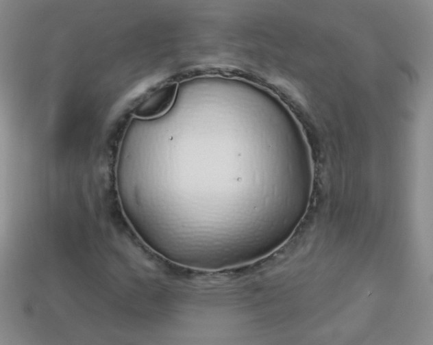 X0000113961159200910091623