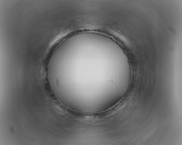 X0000113961160200910091623