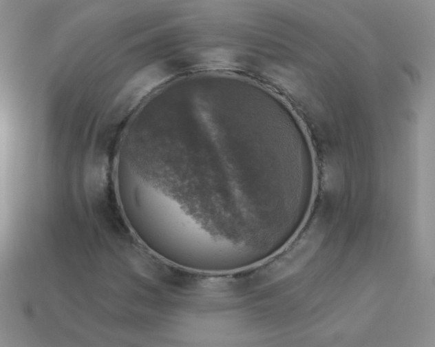 X0000113961161200910091623