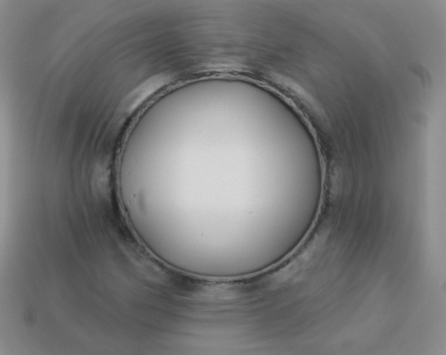 X0000113961162200910091623