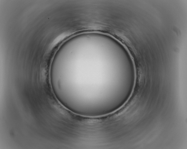 X0000113961163200910091623