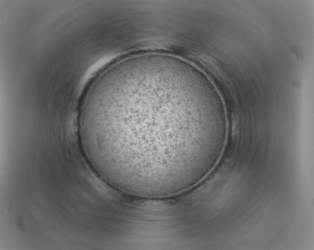 X0000113961164200910091623